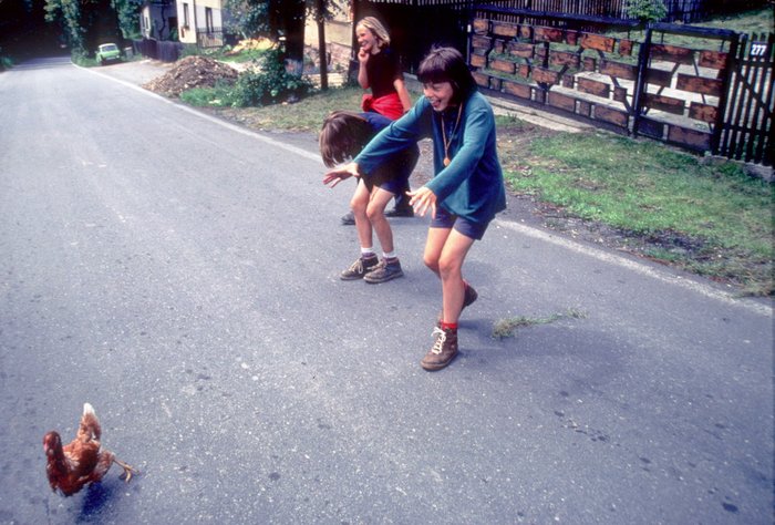 1992 tabor Persea Sargo 066 resize